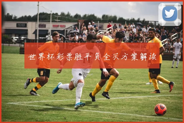 世界杯彩票胜平负全买方案解读