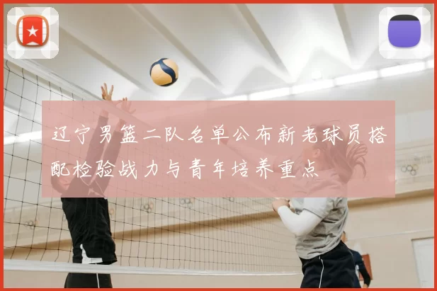 辽宁男篮二队名单公布新老球员搭配检验战力与青年培养重点