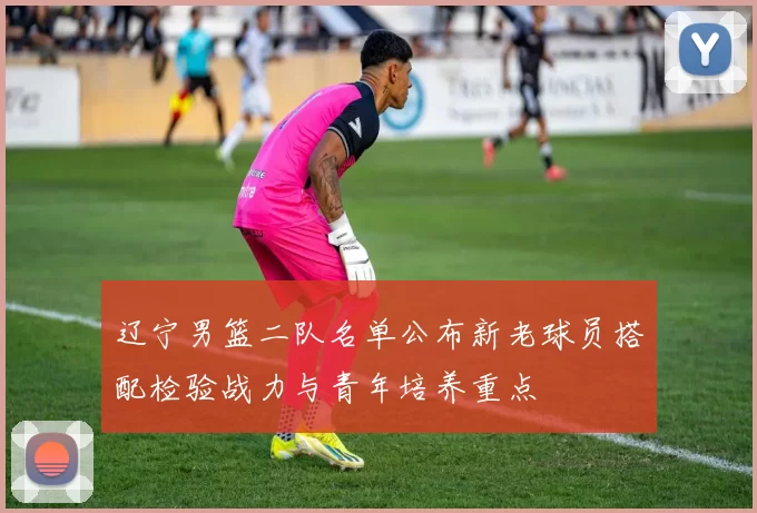 辽宁男篮二队名单公布新老球员搭配检验战力与青年培养重点